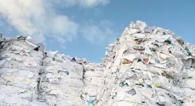 A Mound of Paper